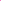 Magenta Star 349968