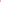 Fuchsia Curve 1620399 - 36 in