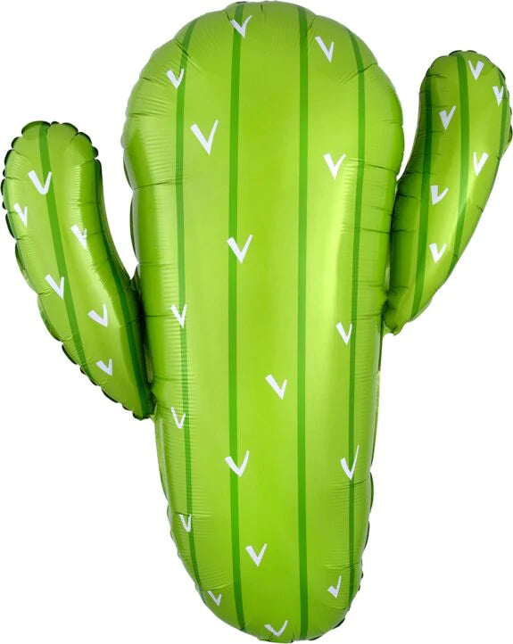 Desert Cactus Plant 3953801