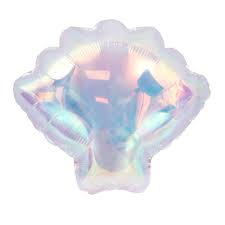 Iridescent Seashell &nbsp;79900