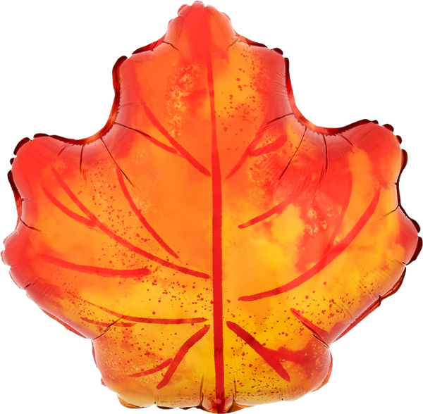 Fall Maple Leaf 4199601