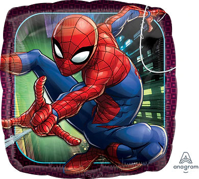 Spider-Man Animated 34663