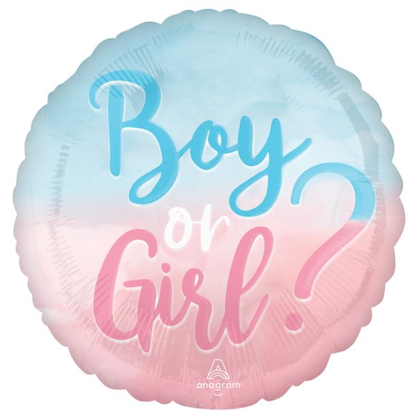 Boy or Girl 4283401