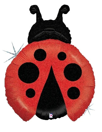 Little Ladybug Red 85667
