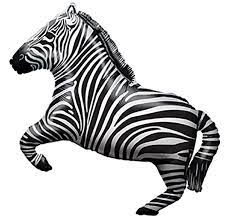 Zebra Shape 34953 - 28 in